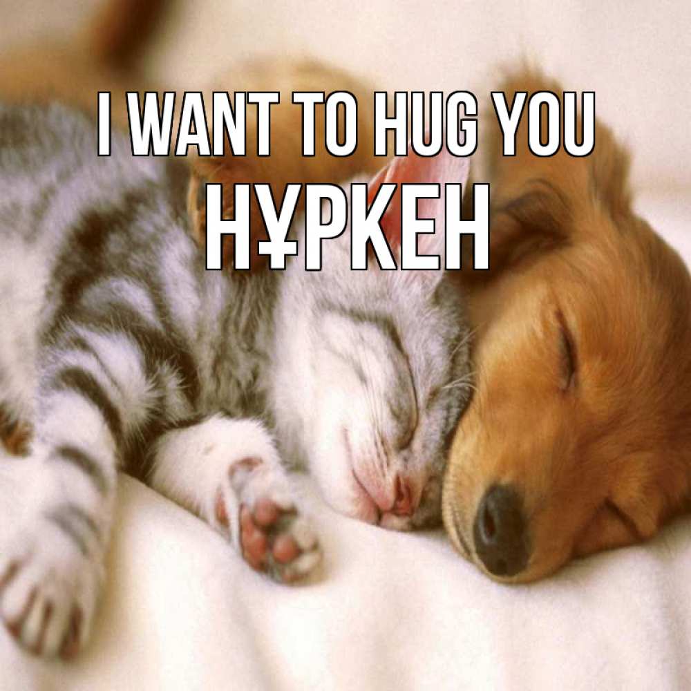 Greetings card с именем, Нұркен I want to hug you пес и котенок Greetings with text for free download 