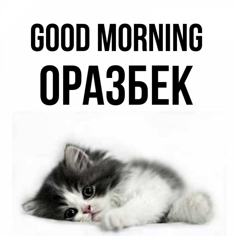 Greetings card с именем, ОРАЗБЕК Good morning кот лапки Greetings with text for free download 