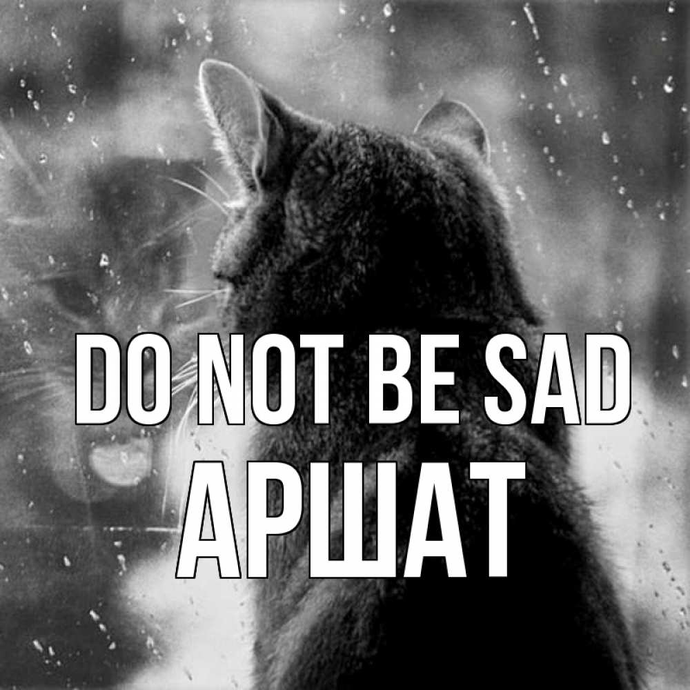 Greetings card с именем, АРШАТ Do not be sad отражение кота 1 Greetings with text for free download 