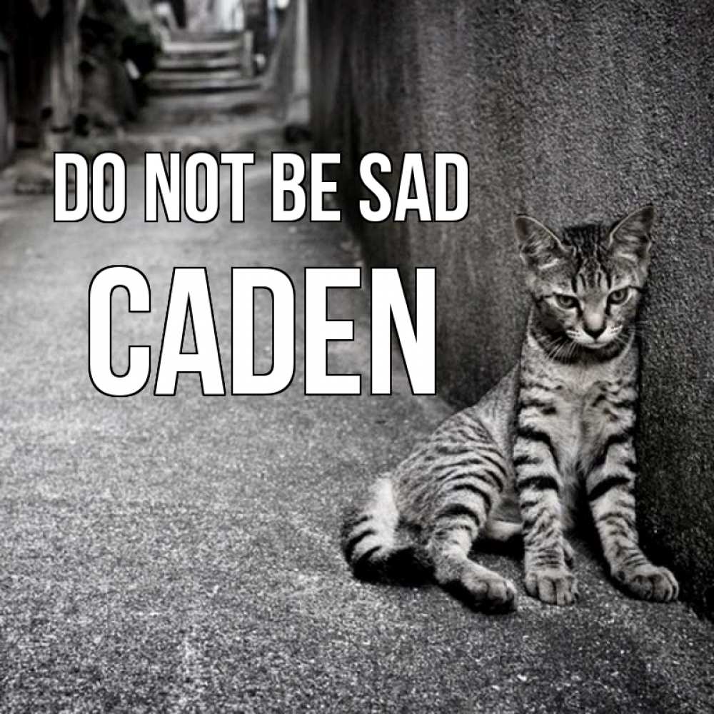 Greetings card с именем, Caden Do not be sad скучающий котик Greetings with text for free download 