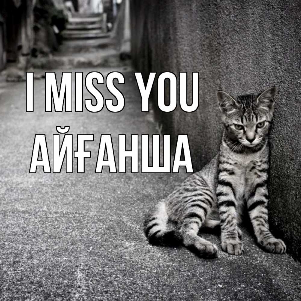 Greetings card с именем, АЙҒАНША I miss you одиноко котику Greetings with text for free download 