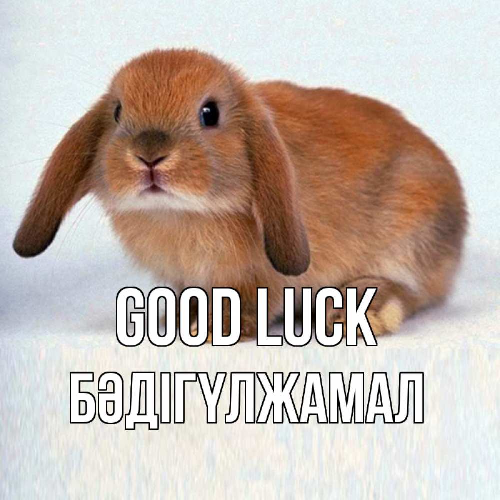 Greetings card с именем, БӘДІГҮЛЖАМАЛ Good luck вставить текст в открытку по выбору Greetings with text for free download 