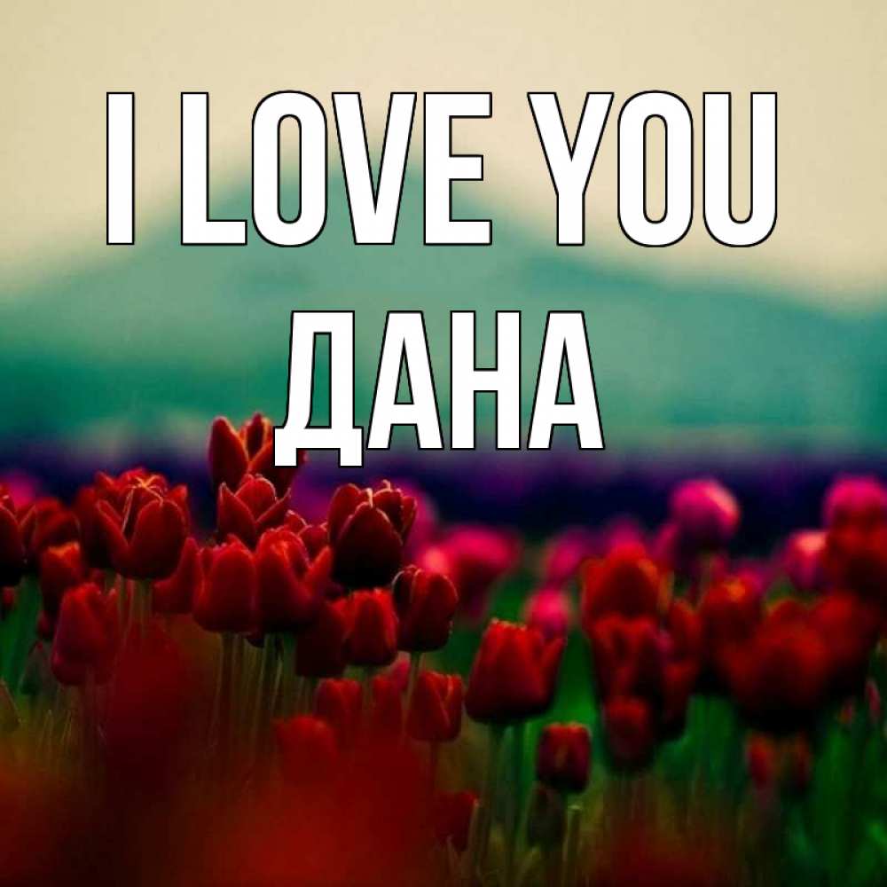 Greetings card с именем, ДАНА I love you тюльпаны 4 Greetings with text for free download 
