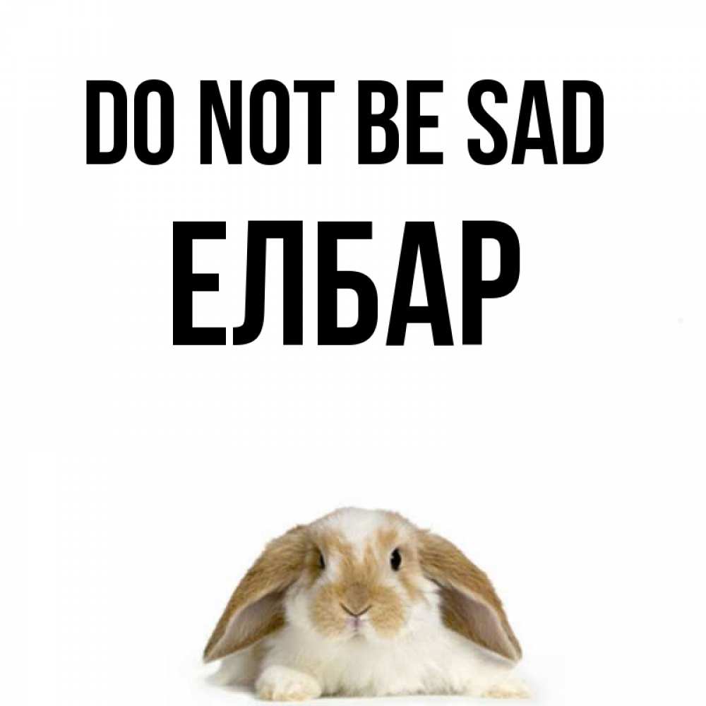 Greetings card с именем, Елбар Do not be sad коричнево белый заяц с большими ушками Greetings with text for free download 