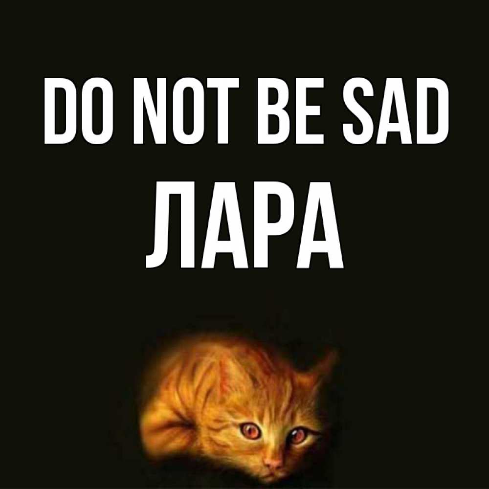 Greetings card с именем, Лара Do not be sad лежащий кот в темноте Greetings with text for free download 
