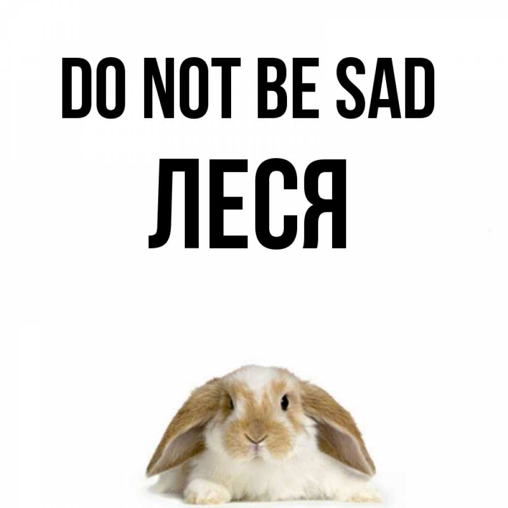 Greetings card с именем, Леся Do not be sad коричнево белый заяц с большими ушками Greetings with text for free download 