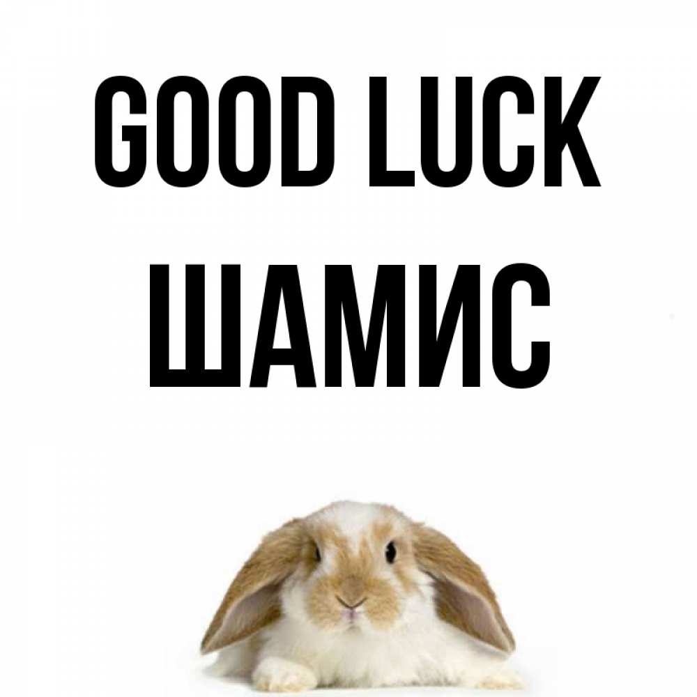 Greetings card с именем, ШАМИС Good luck открытки с произвольным текстом который можно вставить в открытку и создать ее самостоятельно бесплатно онлайн Greetings with text for free download 