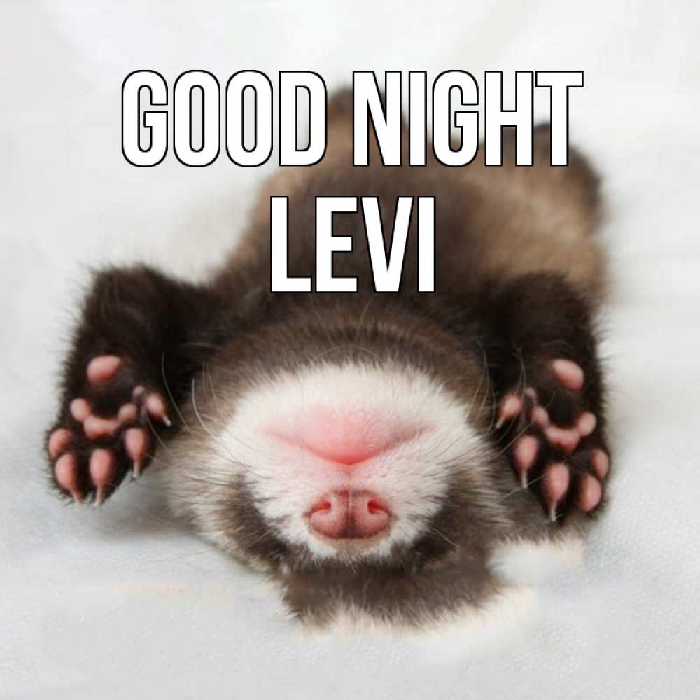 Greetings card с именем, Levi Good night зверек Greetings with text for free download 