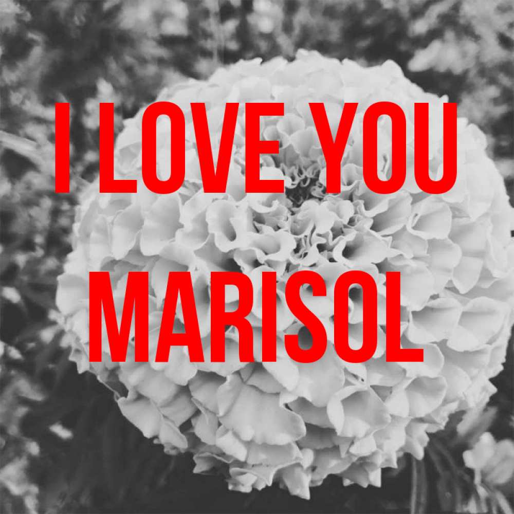 Greetings card с именем, Marisol I love you подпись Greetings with text for free download 