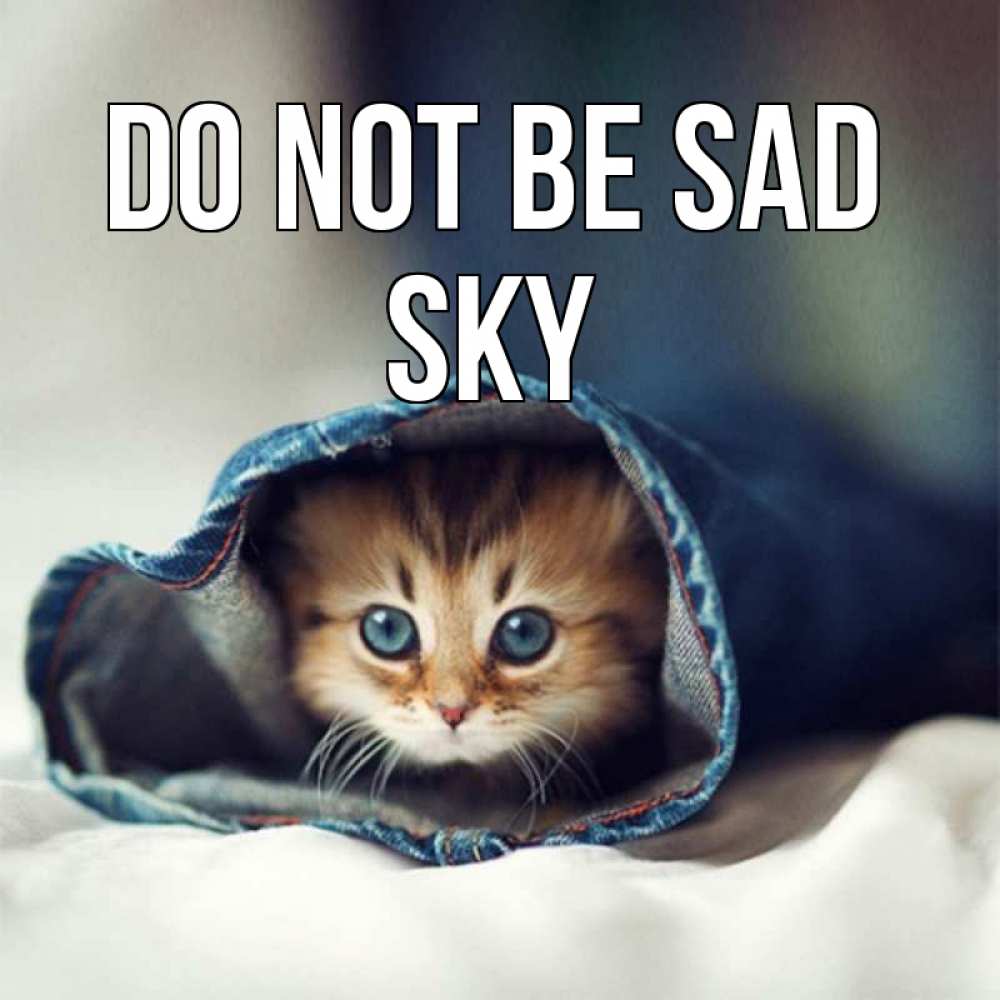 Greetings card с именем, Sky Do not be sad кот в одежде Greetings with text for free download 