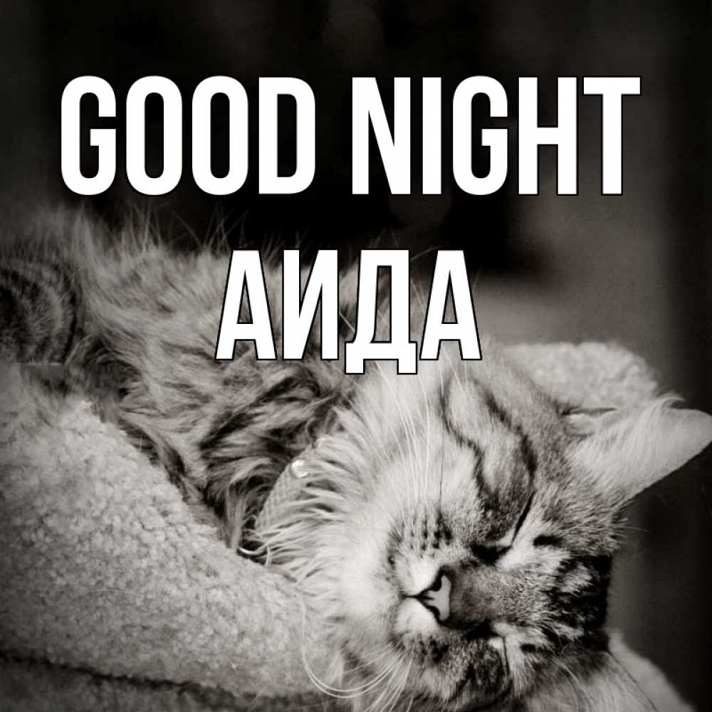 Greetings card с именем, АИДА Good night котярик пушистый Greetings with text for free download 