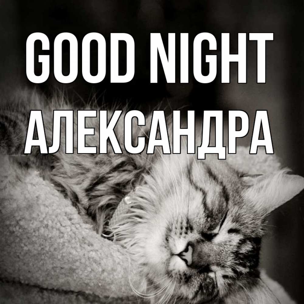 Greetings card с именем, Александра Good night котярик пушистый Greetings with text for free download 