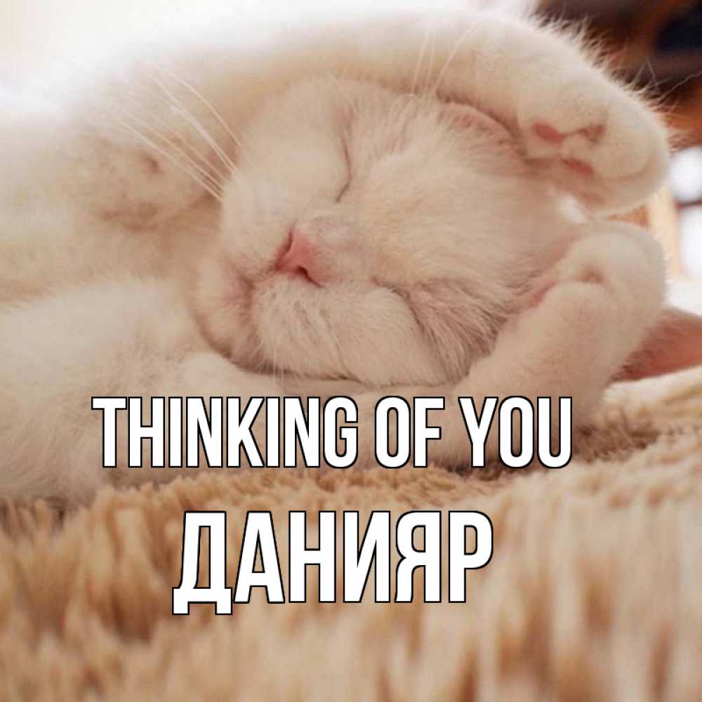 Greetings card с именем, Данияр Thinking of you для любимой девушки милота Greetings with text for free download 