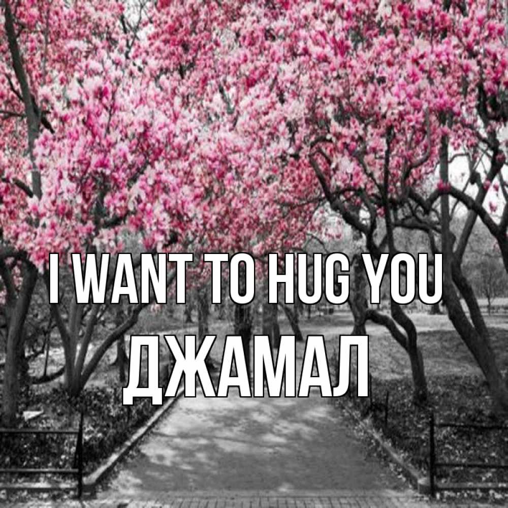 Greetings card с именем, Джамал I want to hug you обработанное фото Greetings with text for free download 