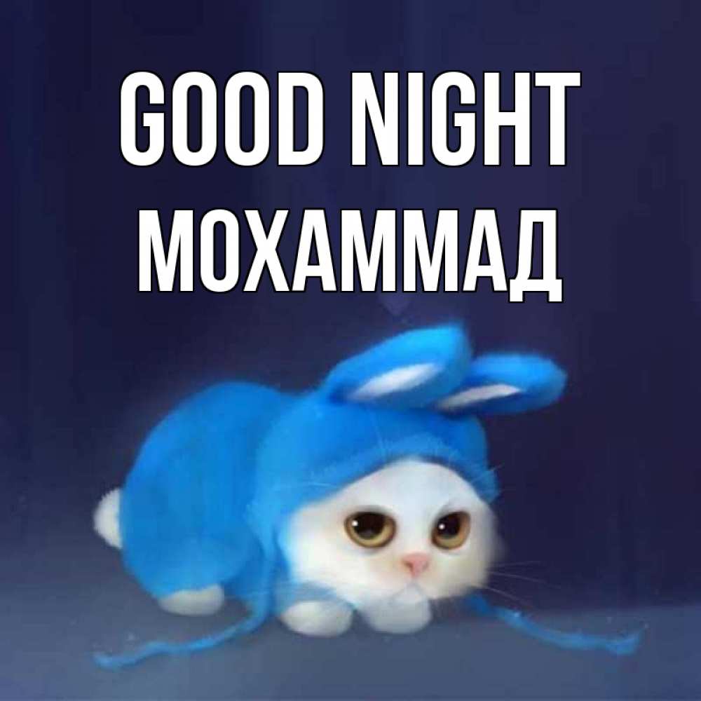 Greetings card с именем, Мохаммад Good night кот в голубом костюме кролика с ушками Greetings with text for free download 