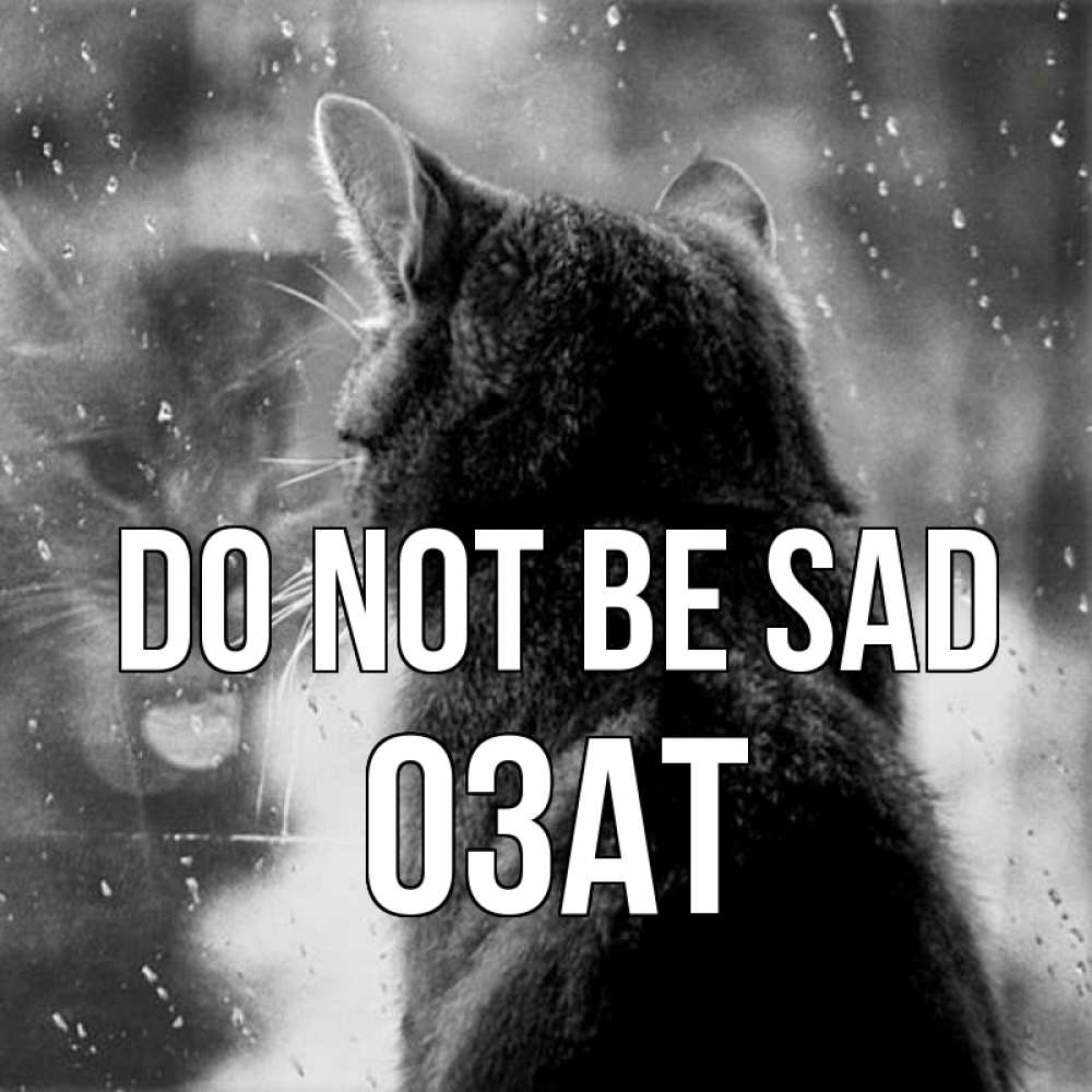 Greetings card с именем, ОЗАТ Do not be sad отражение кота 1 Greetings with text for free download 