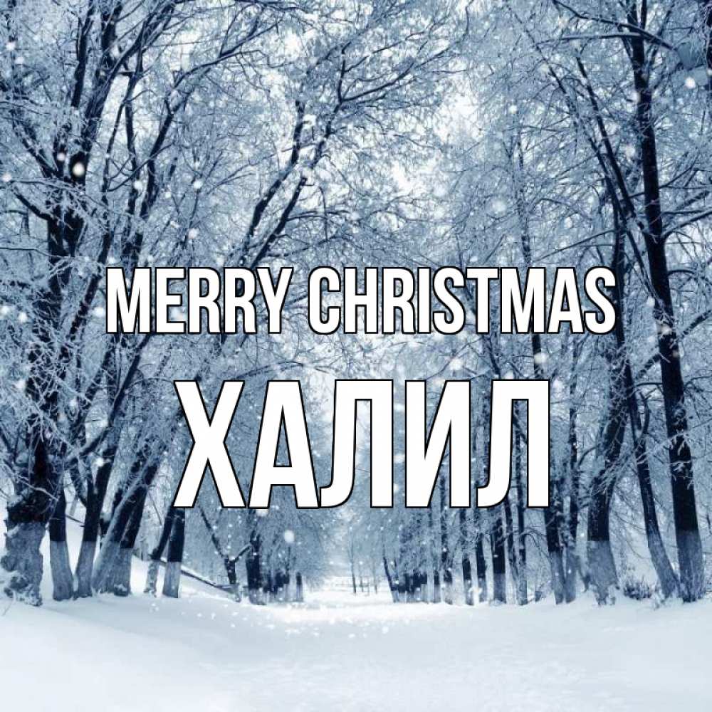 Greetings card с именем, ХАЛИЛ Merry Christmas снег, лес, парк Greetings with text for free download 