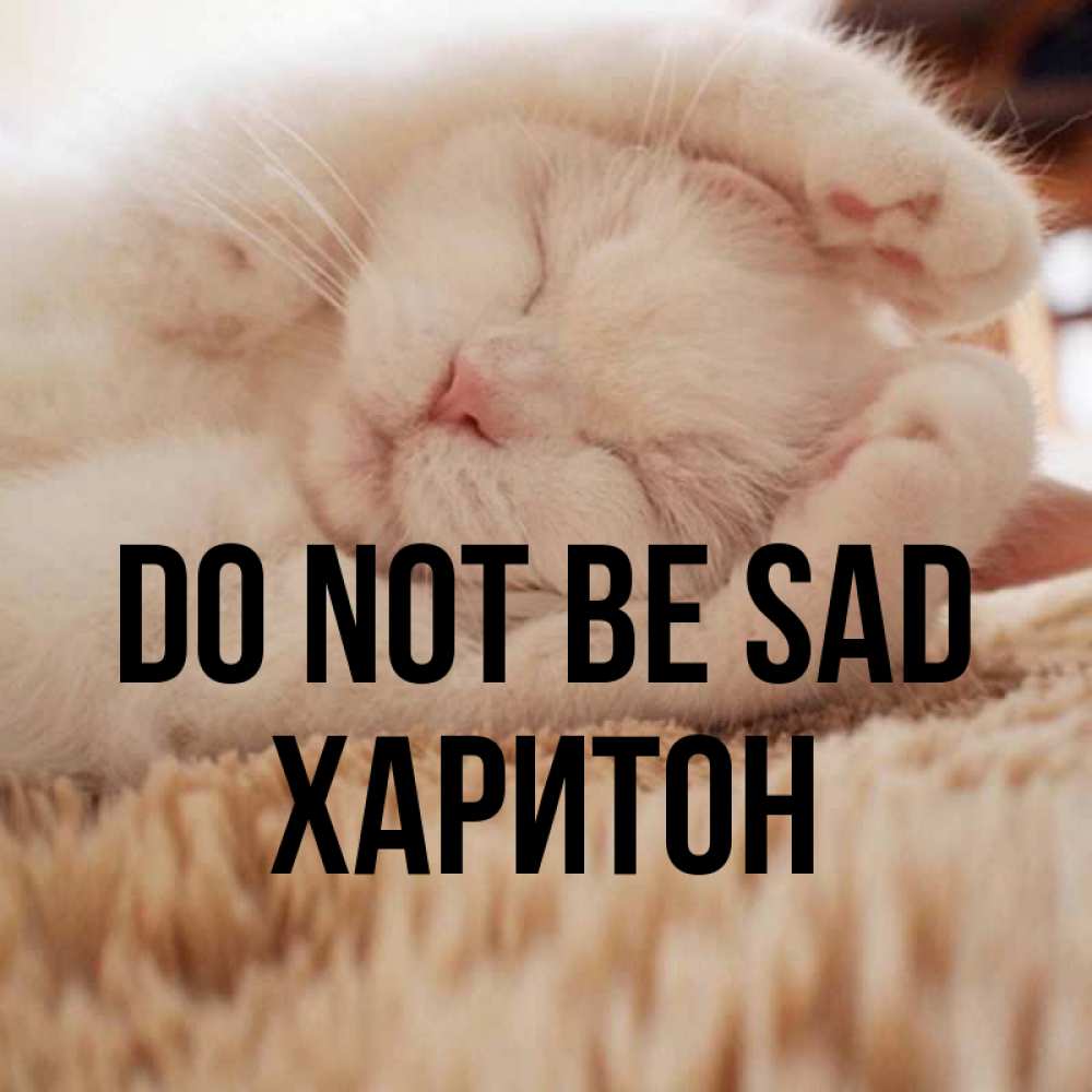Greetings card с именем, Харитон Do not be sad Котенок спит Greetings with text for free download 