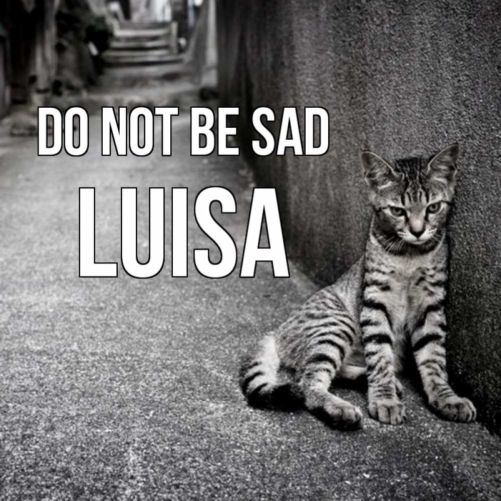 Greetings card с именем, Luisa Do not be sad скучающий котик Greetings with text for free download 