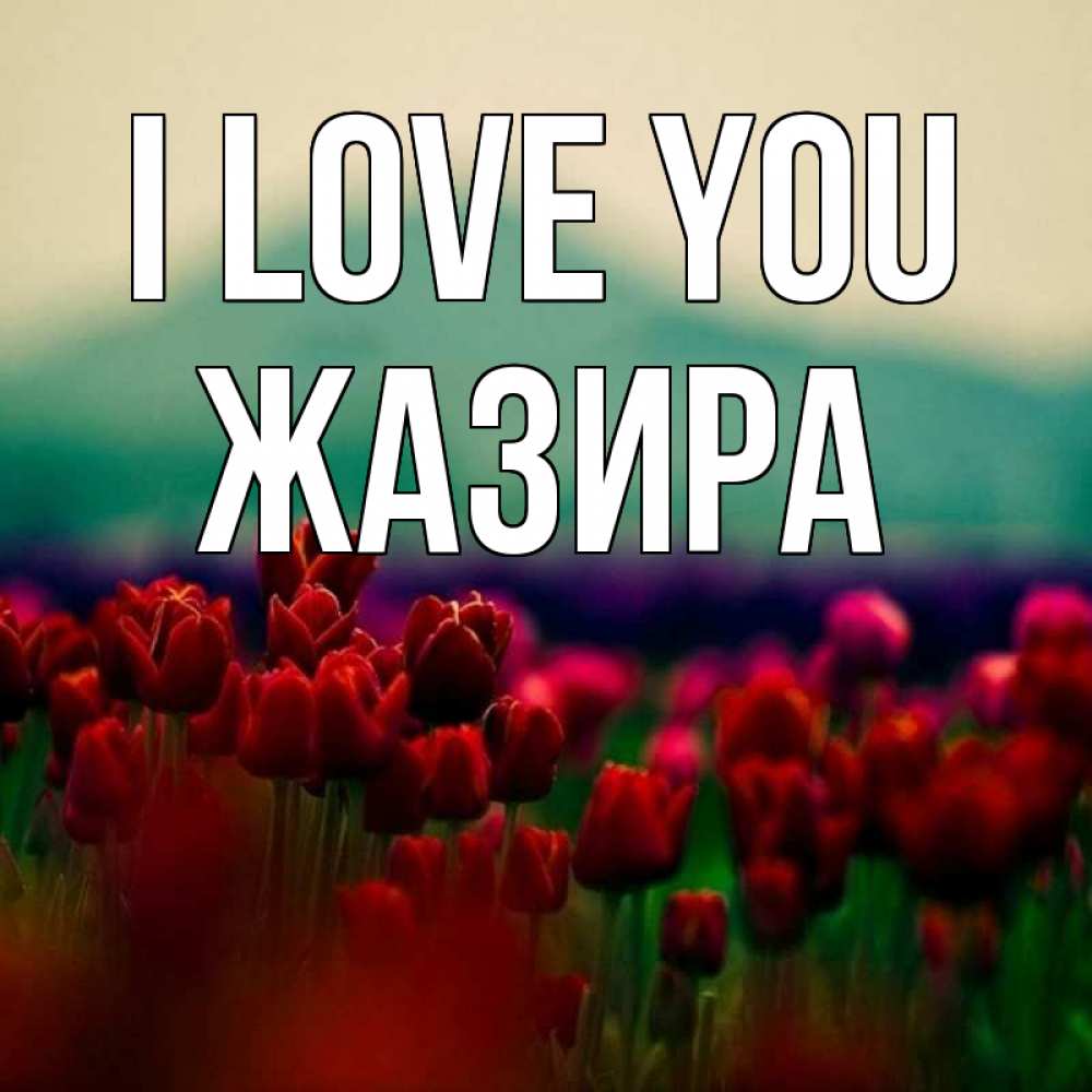 Greetings card с именем, ЖАЗИРА I love you тюльпаны 4 Greetings with text for free download 