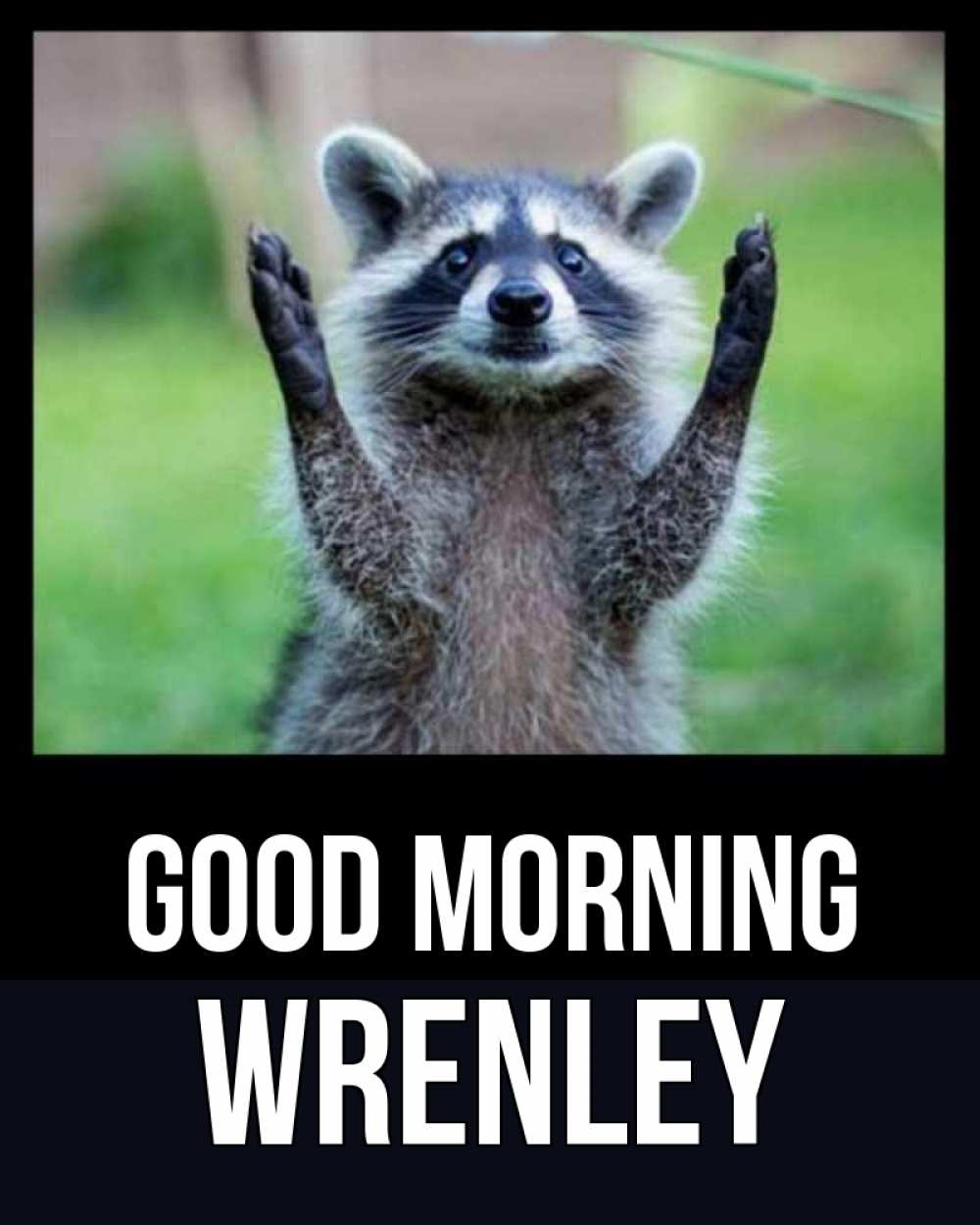 Greetings card с именем, Wrenley Good morning хорошее настроение утречком Greetings with text for free download 