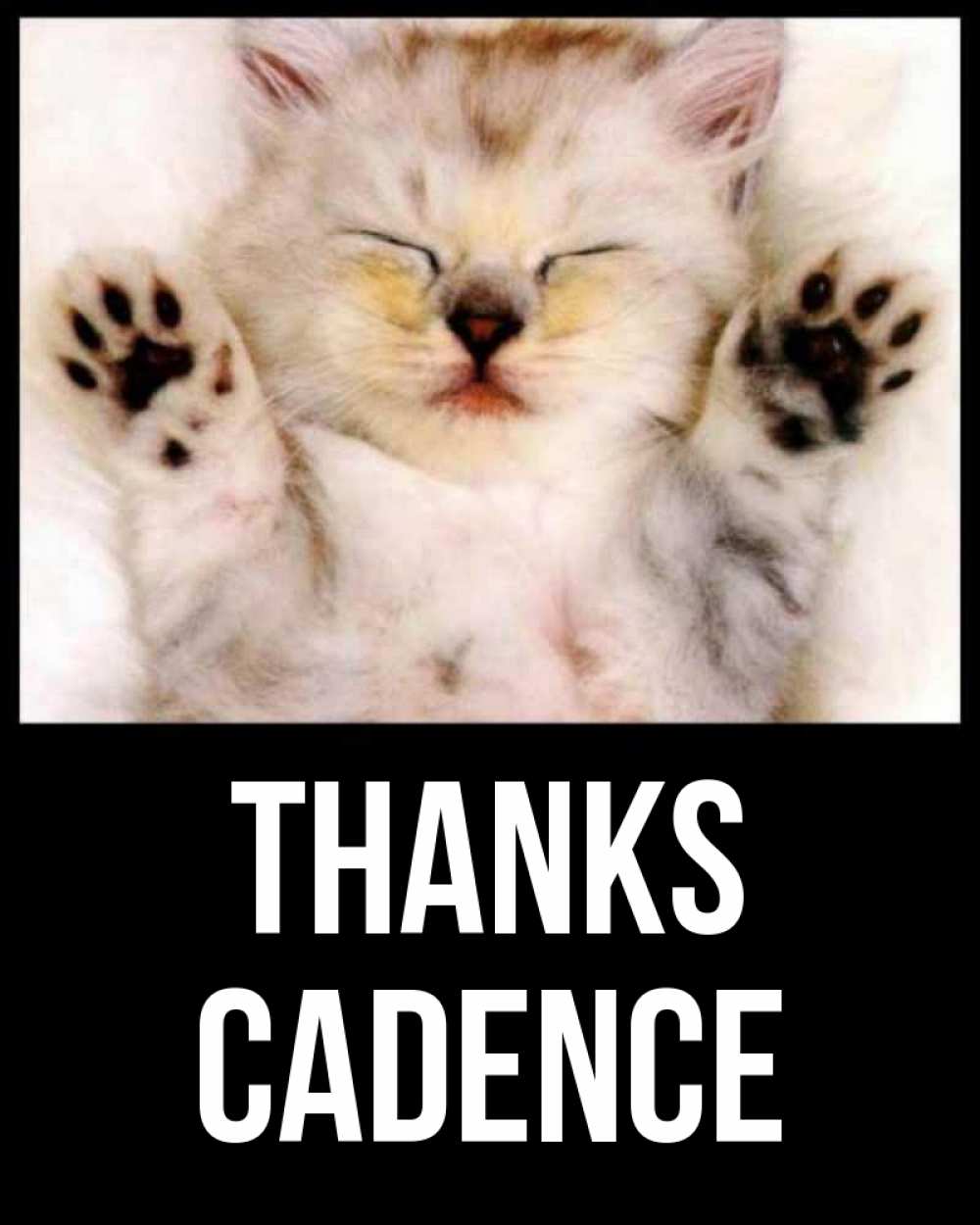 Greetings card с именем, Cadence Thanks маленький котенок Greetings with text for free download 