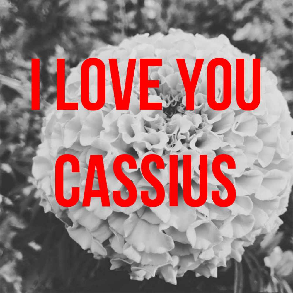 Greetings card с именем, Cassius I love you подпись Greetings with text for free download 