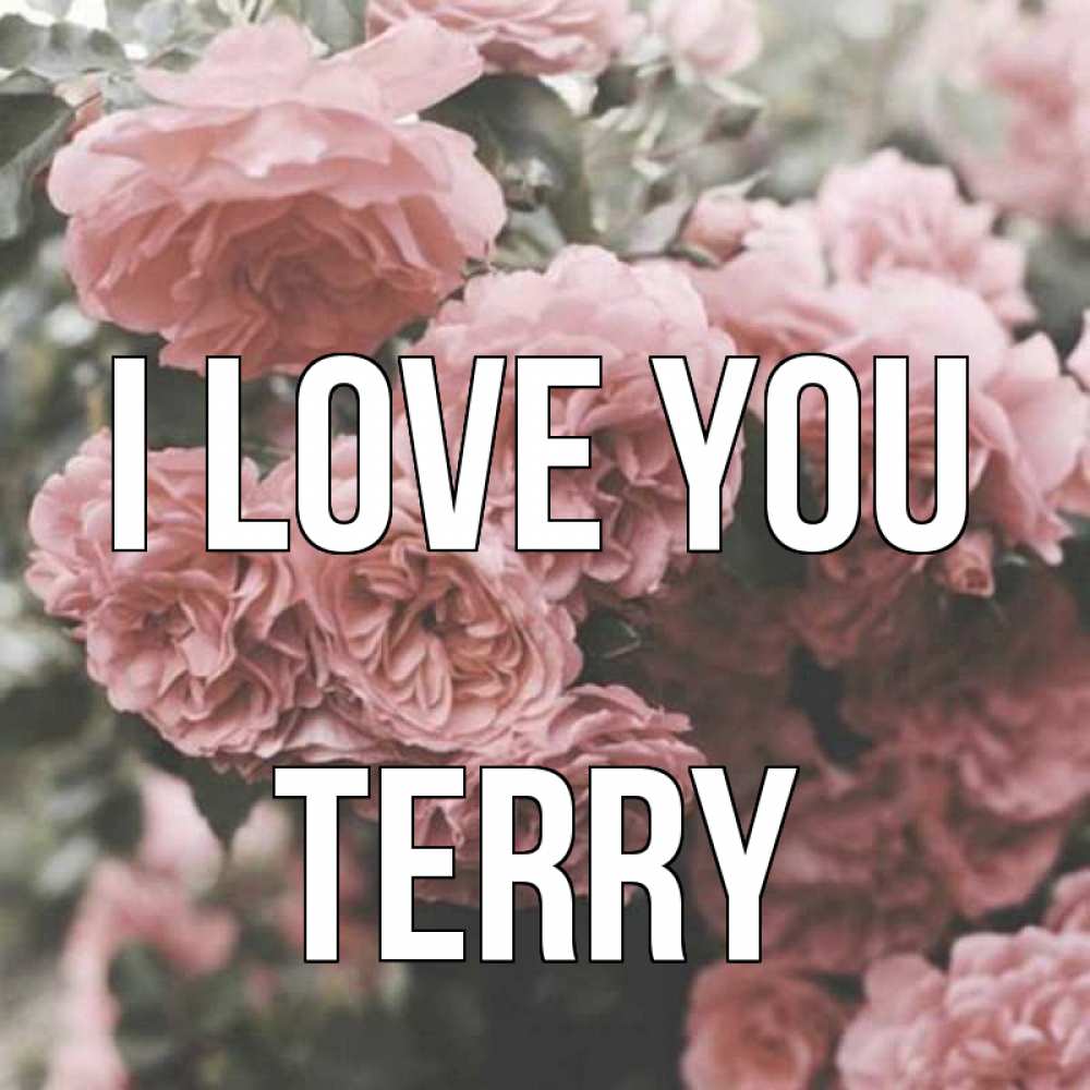 Greetings card с именем, Terry I love you розы 3 Greetings with text for free download 