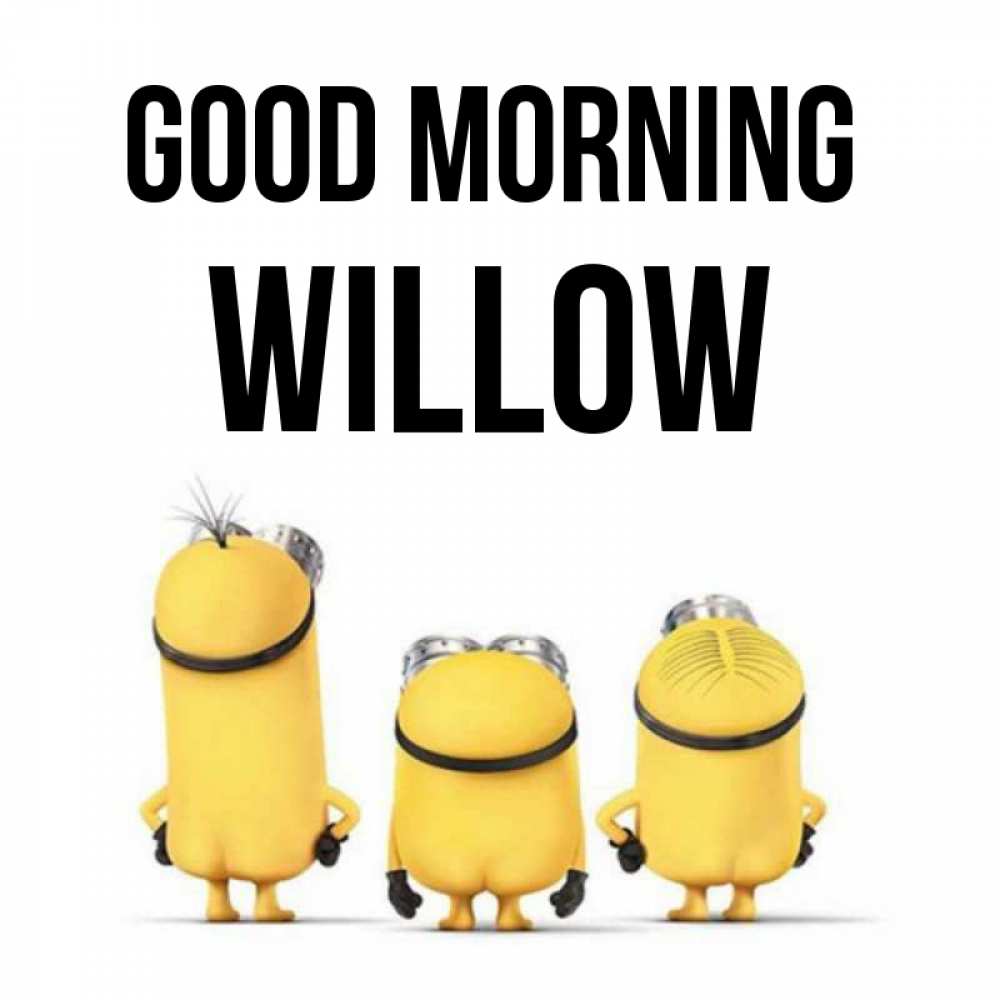 Greetings card с именем, Willow Good morning подписать открытку онлайн бесплатно Greetings with text for free download 