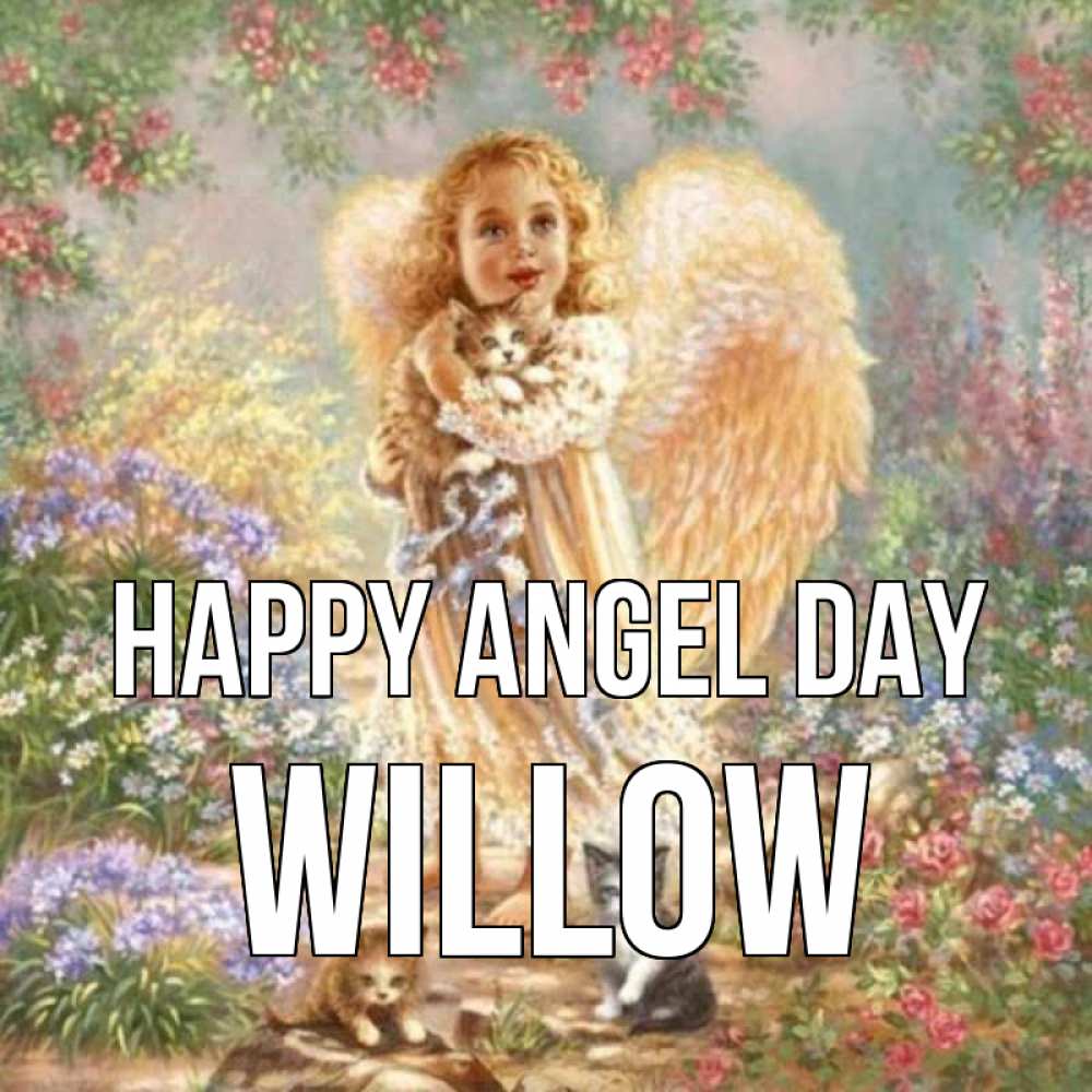 Greetings card с именем, Willow happy angel day держит котенка Greetings with text for free download 