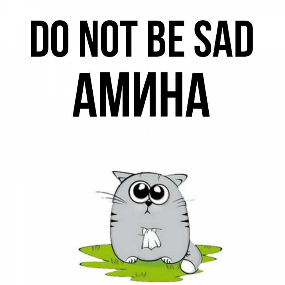 Greetings card с именем, Амина Do not be sad грустный котяра Greetings with text for free download 