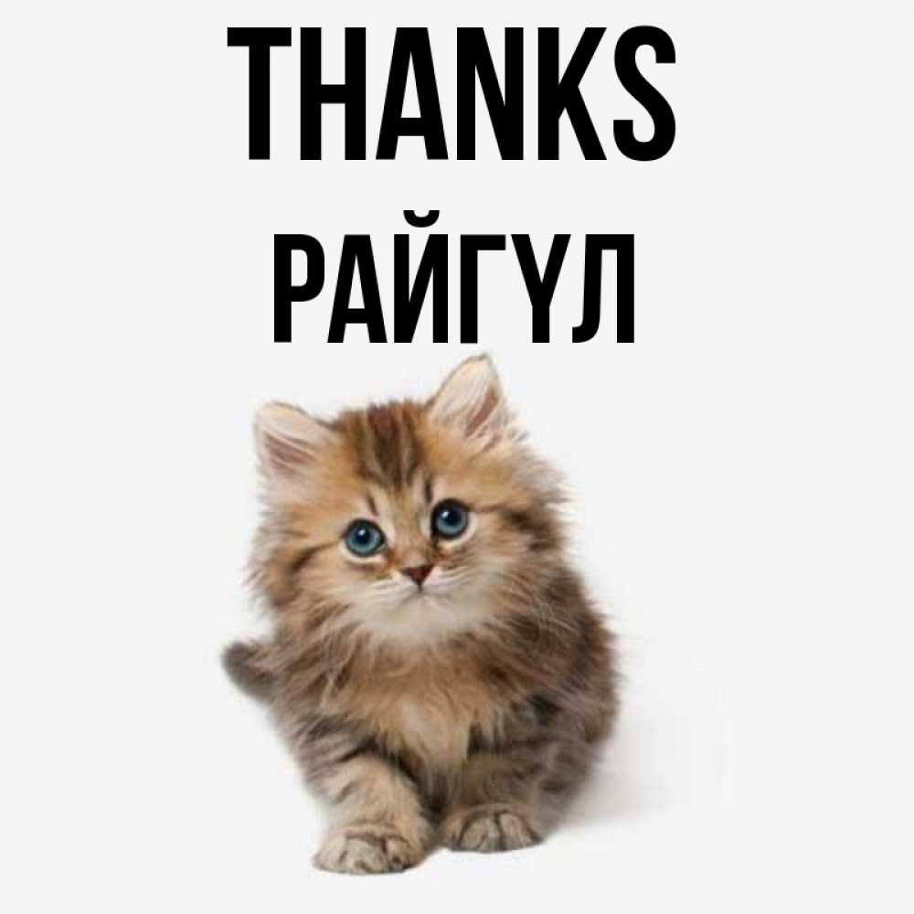 Greetings card с именем, РАЙГҮЛ Thanks пушистый котик Greetings with text for free download 