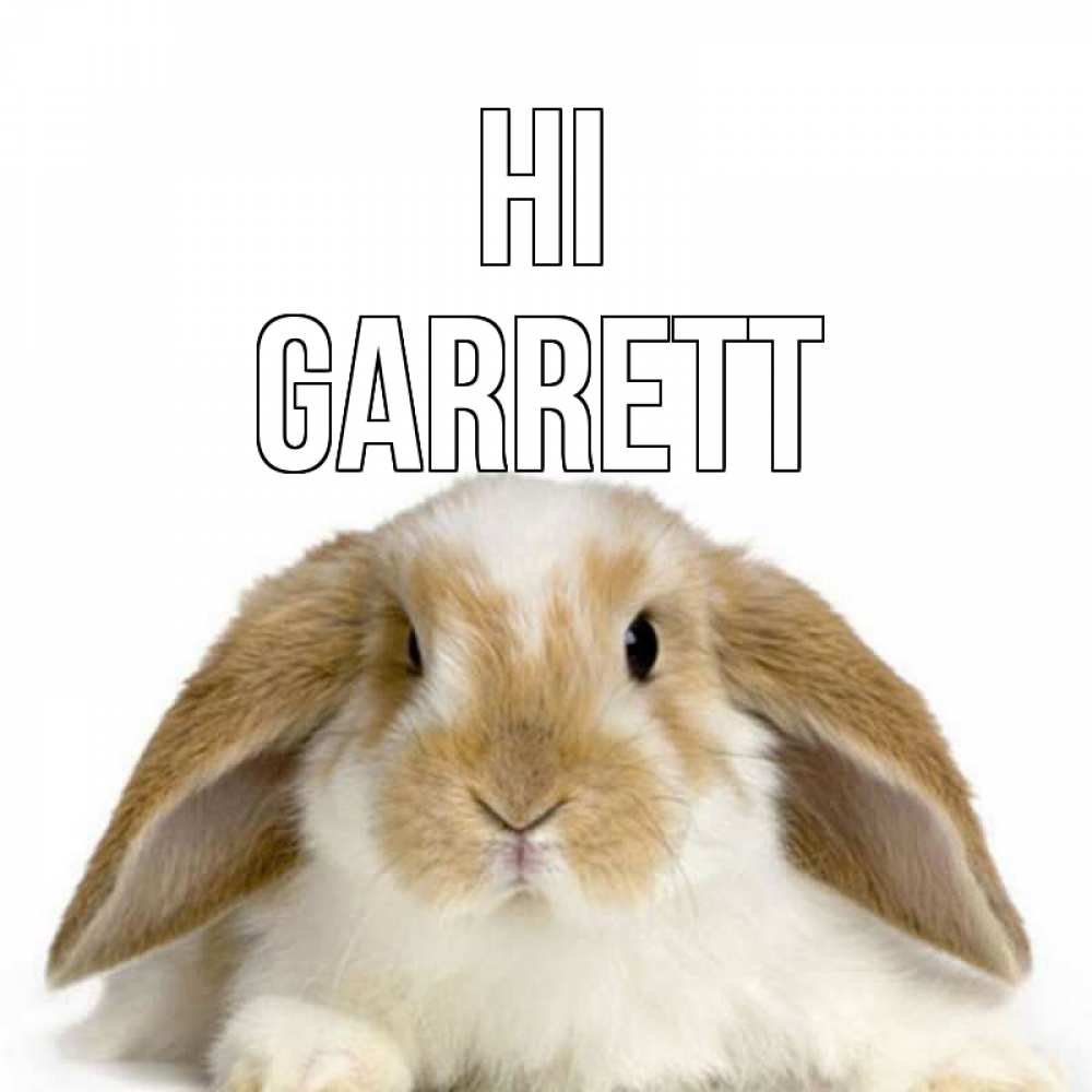 Greetings card с именем, Garrett Hi с животными Greetings with text for free download 