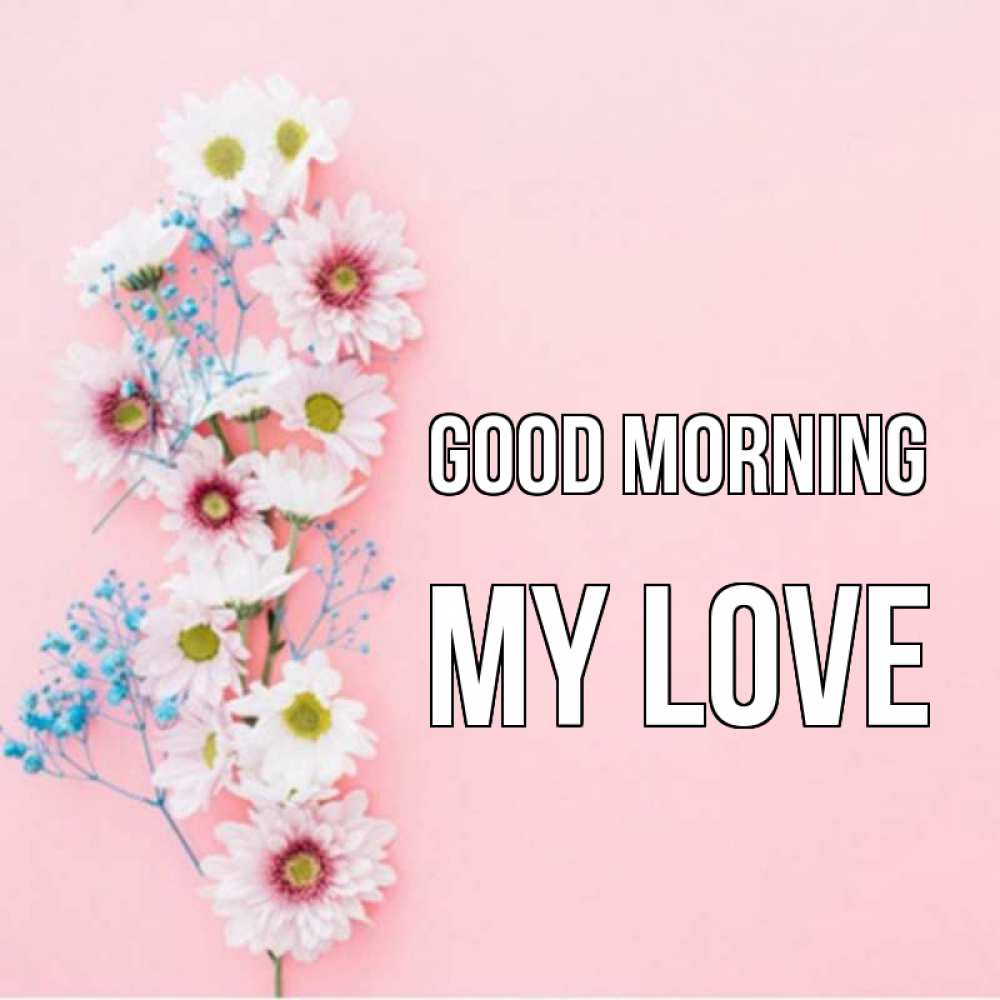 Greetings card с именем, my-love Good morning цветы с подписью Greetings with text for free download 
