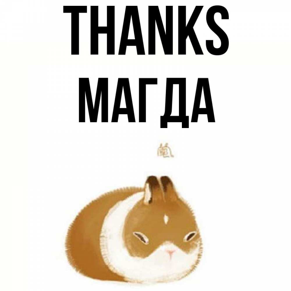 Greetings card с именем, Магда Thanks коричнево белый домашний питомец Greetings with text for free download 
