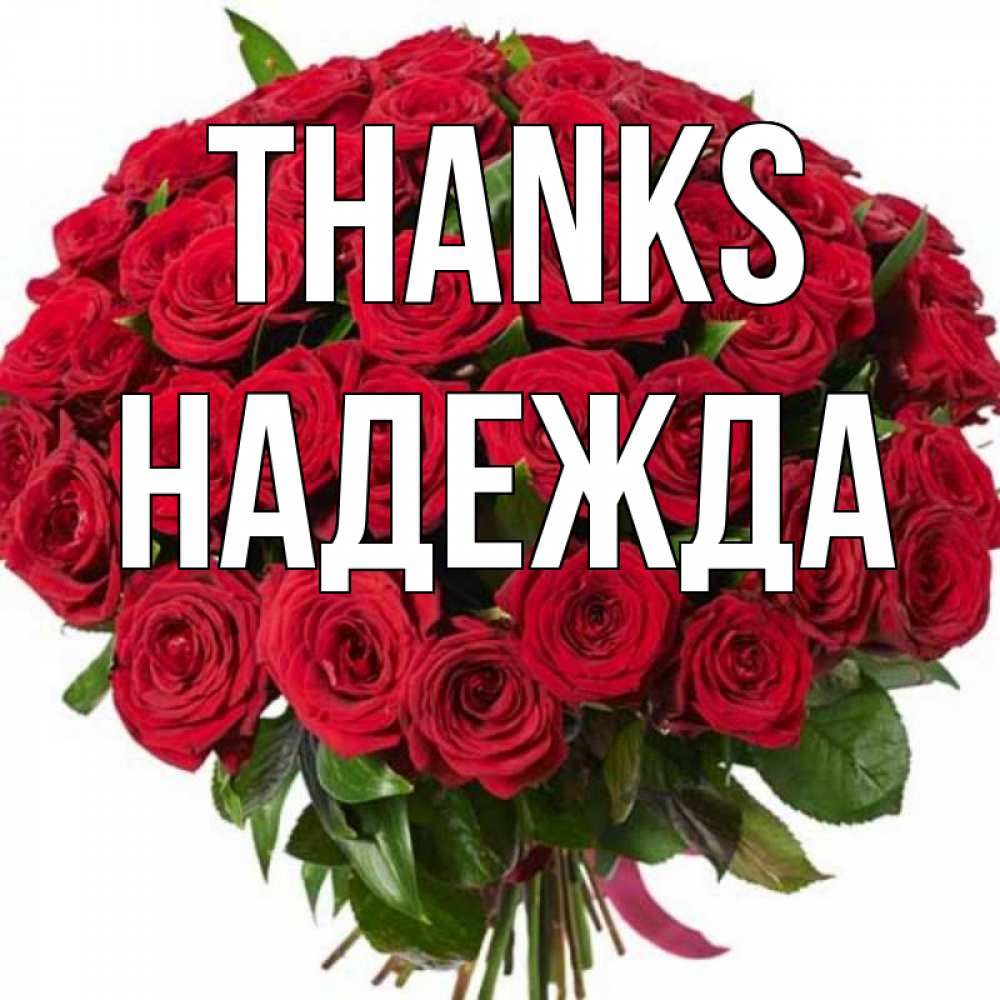 Greetings card с именем, Надежда Thanks букет красных роз Greetings with text for free download 