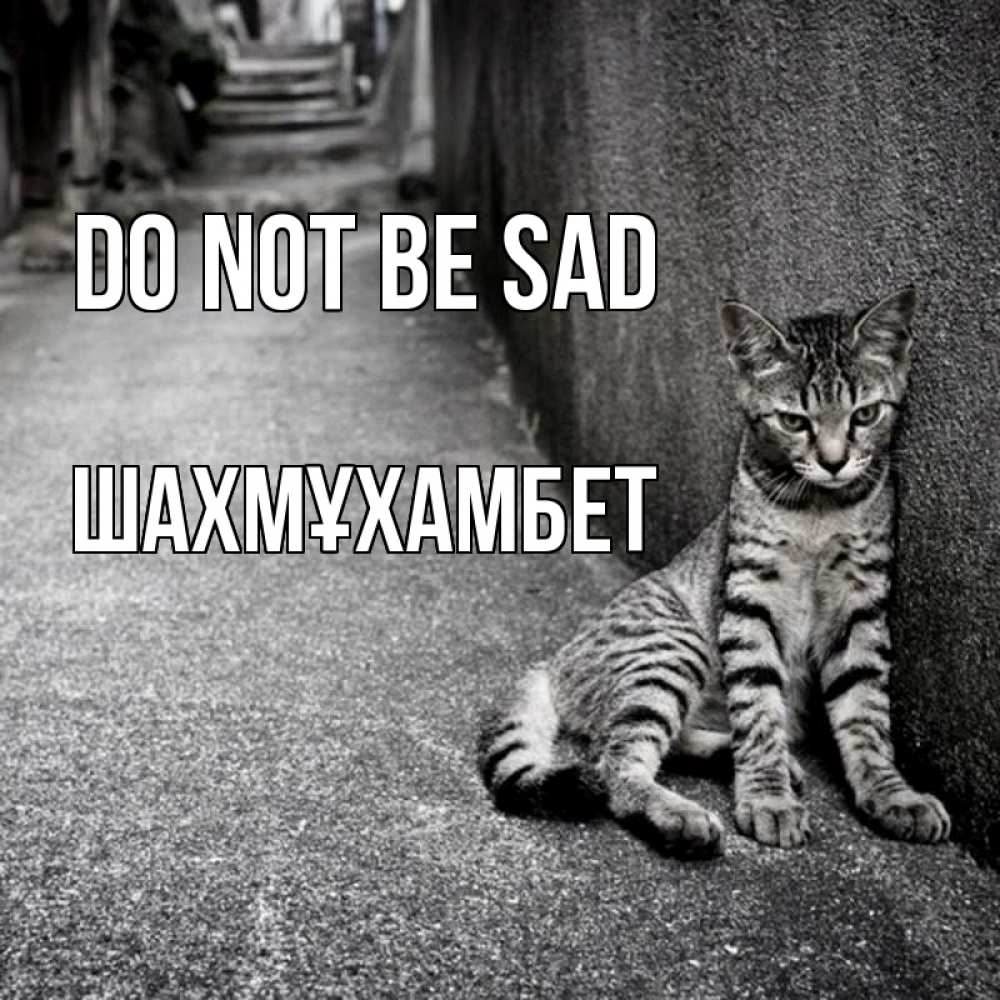 Greetings card с именем, ШАХМҰХАМБЕТ Do not be sad скучающий котик Greetings with text for free download 