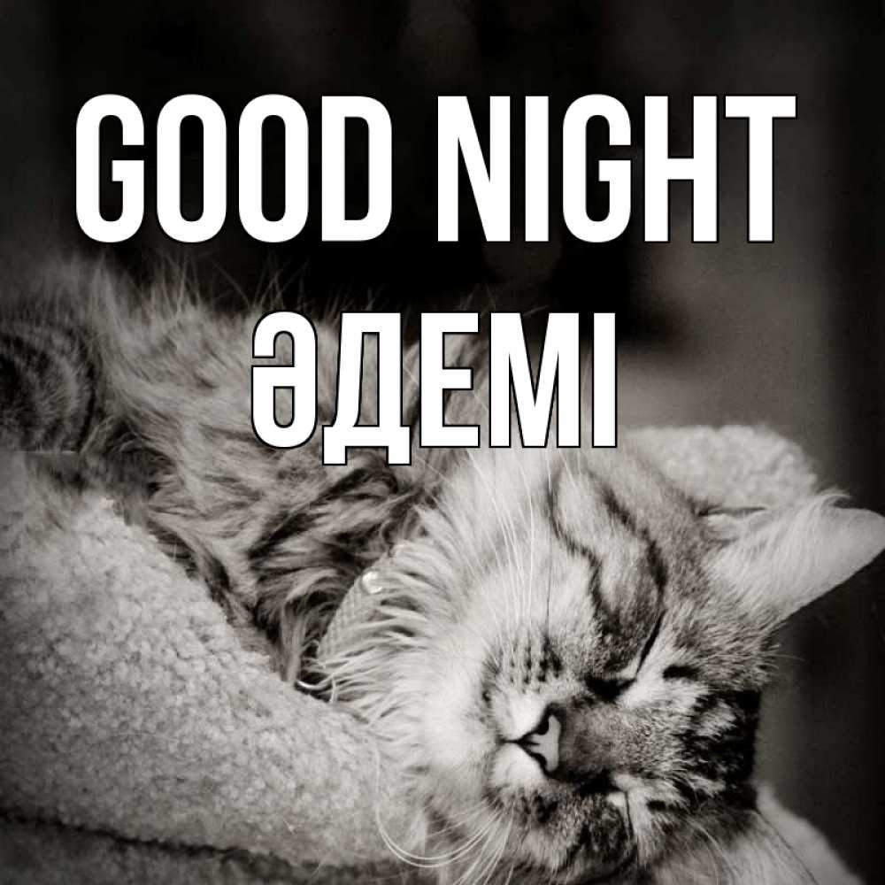 Greetings card с именем, ӘДЕМІ Good night котярик пушистый Greetings with text for free download 
