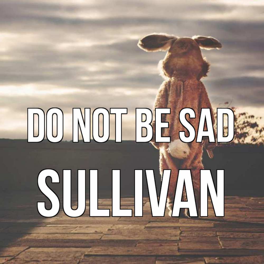 Greetings card с именем, Sullivan Do not be sad со спины Greetings with text for free download 