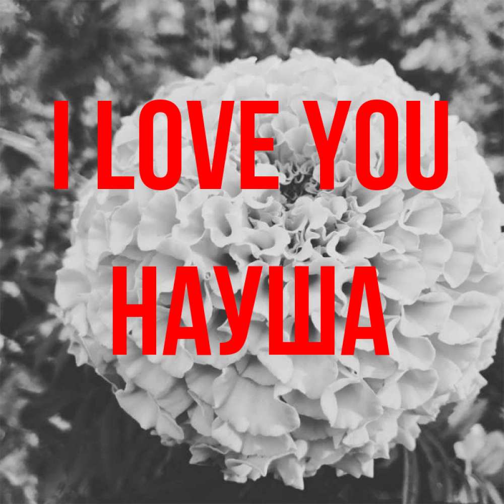 Greetings card с именем, НАУША I love you подпись Greetings with text for free download 