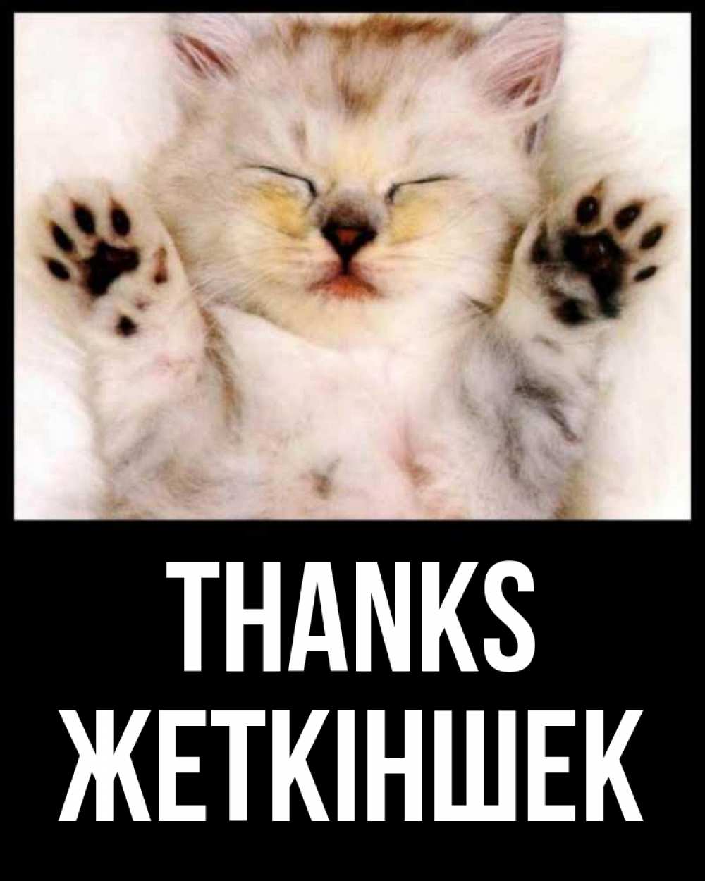 Greetings card с именем, Жеткіншек Thanks маленький котенок Greetings with text for free download 