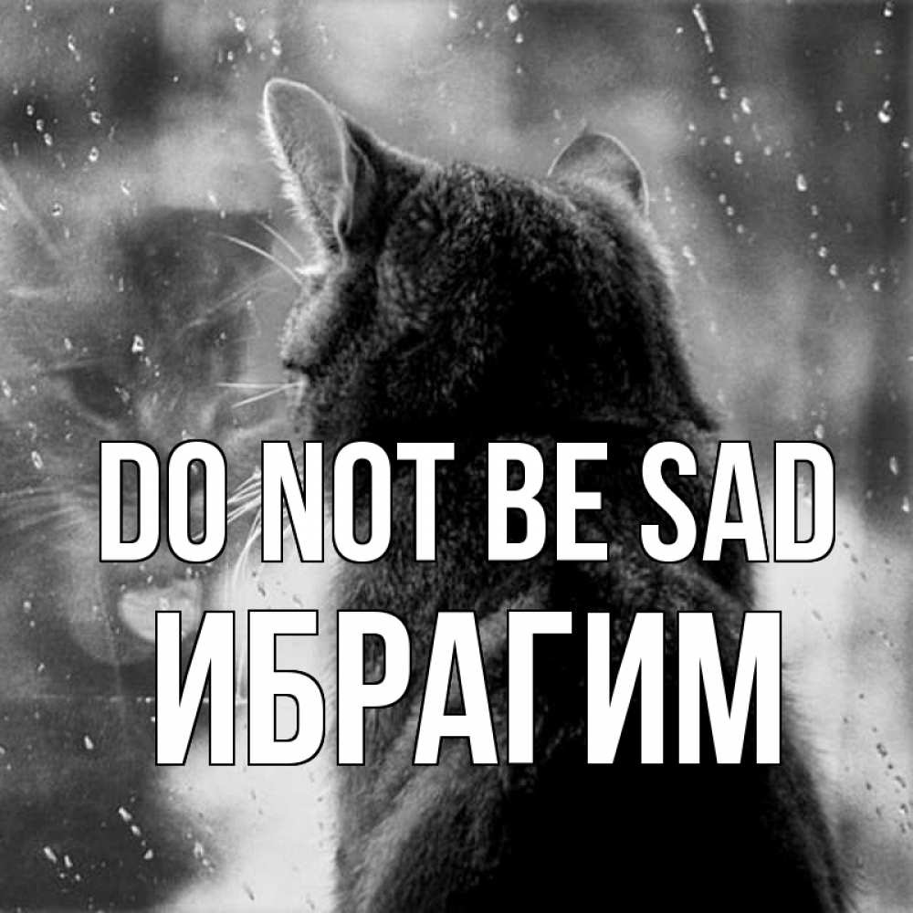 Greetings card с именем, Ибрагим Do not be sad отражение кота 1 Greetings with text for free download 