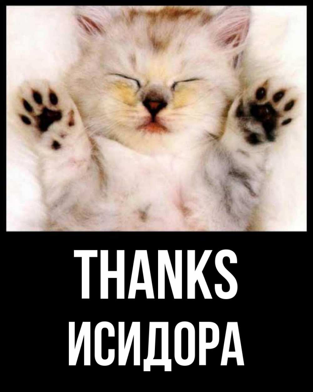 Greetings card с именем, Исидора Thanks маленький котенок Greetings with text for free download 