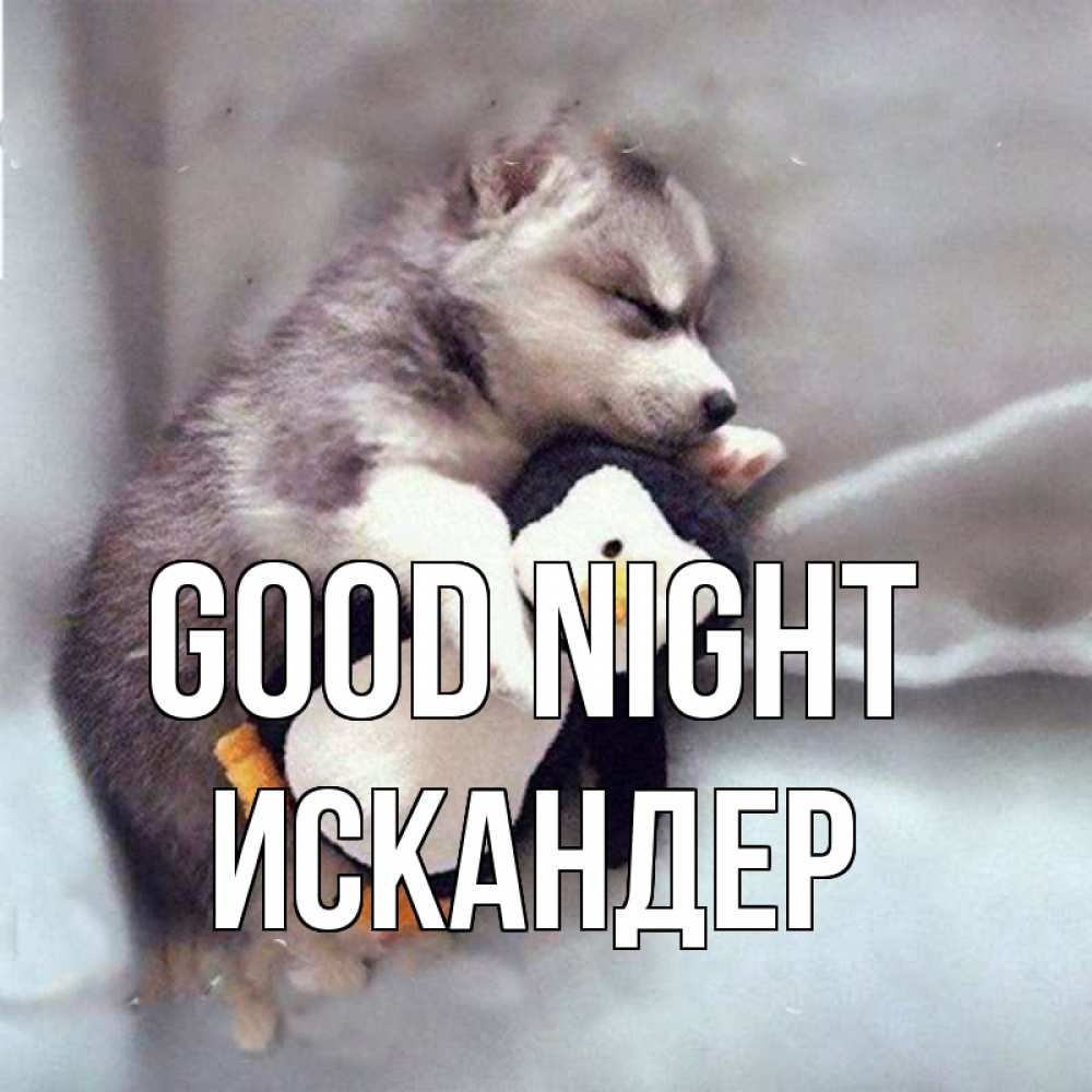 Greetings card с именем, Искандер Good night обнимашки щенка и пингвина Greetings with text for free download 