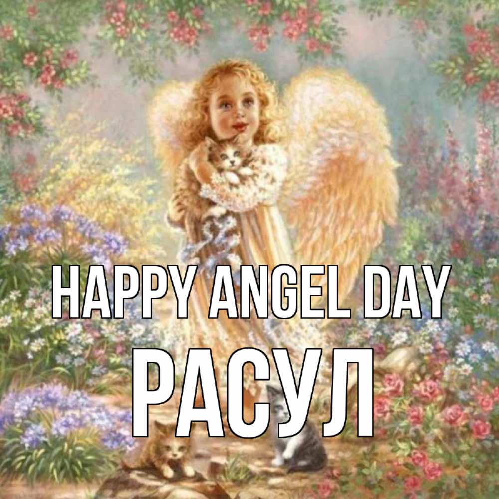 Greetings card с именем, РАСУЛ happy angel day держит котенка Greetings with text for free download 