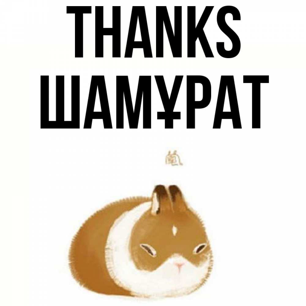 Greetings card с именем, ШАМҰРАТ Thanks коричнево белый домашний питомец Greetings with text for free download 