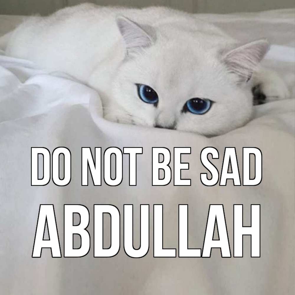 Greetings card с именем, Abdullah Do not be sad белый кот с голубыми глазами на белоснежной кровати Greetings with text for free download 