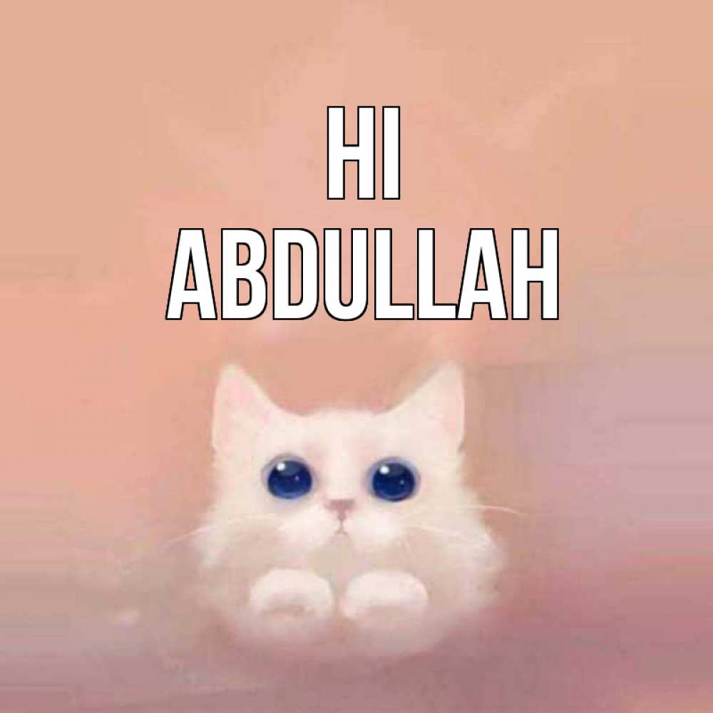 Greetings card с именем, Abdullah Hi котик белый в полете Greetings with text for free download 