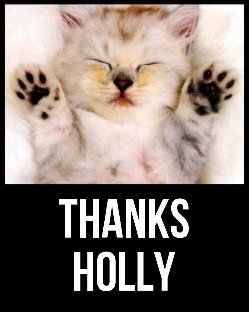 Greetings card с именем, Holly Thanks маленький котенок Greetings with text for free download 