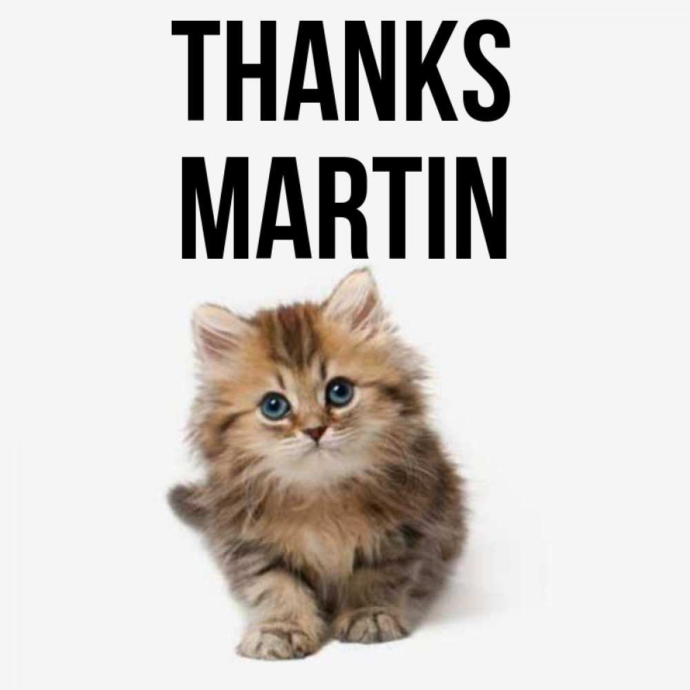 Greetings card с именем, Martin Thanks пушистый котик Greetings with text for free download 